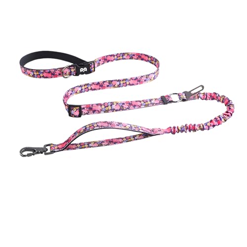 犬 金具」の人気商品一覧 | 安い商品を通販サイトから探す - 価格.com